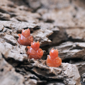 Hồ ly đá Carnelian ôm hoa mẫu đơn
