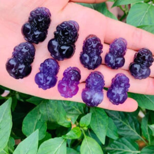 Mặt Tỳ Hưu Thạch Anh Tím