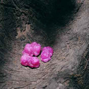 Tỳ hưu đá ruby (Hồng Ngọc)